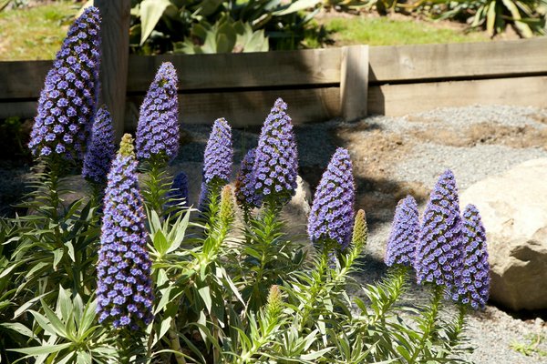 Créer un havre de fraîcheur : installer un système de ventilation pour un air sain dans sa maison